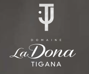 Tigana